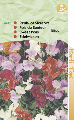 Lathyrus bijou (Reuk of Siererwt vroegbloeiend mengsel 1.25 - Klik op de afbeelding om het venster te sluiten